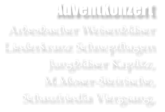 Adventkonzert Arbesbacher Weisenblser Liederkranz Schnopfhagen Jungblser Kaplitz,  M.Moser-Steirische, Schaufriedla Viergsang,