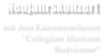 Neujahrskonzert  mit dem Kammerorchester Collegium Musicum Budvicense