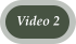 Video 2