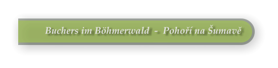 Buchers im B�hmerwald  -  Pohoř� na �umavě